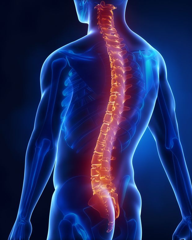Rückenschmerzen Wirbelsäule